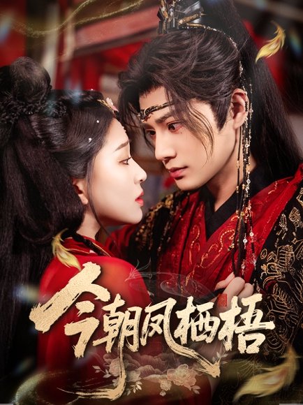 今朝凤栖梧（68集）柳甯＆韩录锦 高清完整版