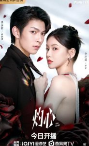 灼心（24集）樊治欣&李沐宸 高清完整版
