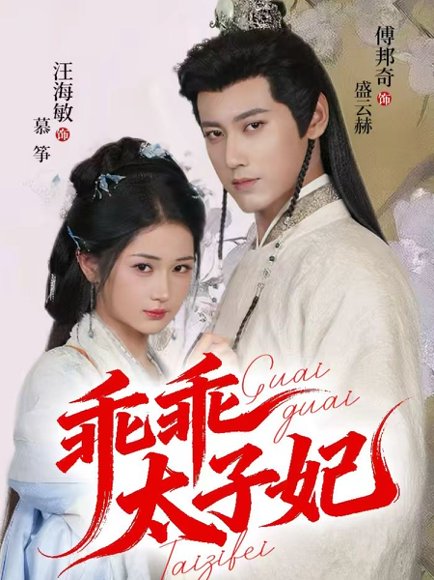 乖乖太子妃（64集）傅邦奇＆汪海敏 高清完整版