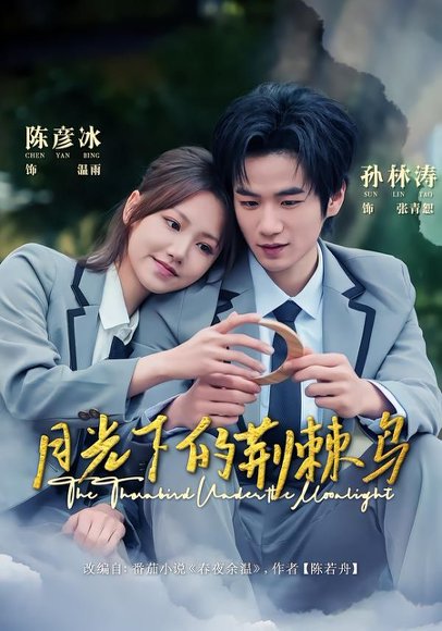 月光下的荆棘鸟（80集）陈彦冰＆孙林涛 高清完整版